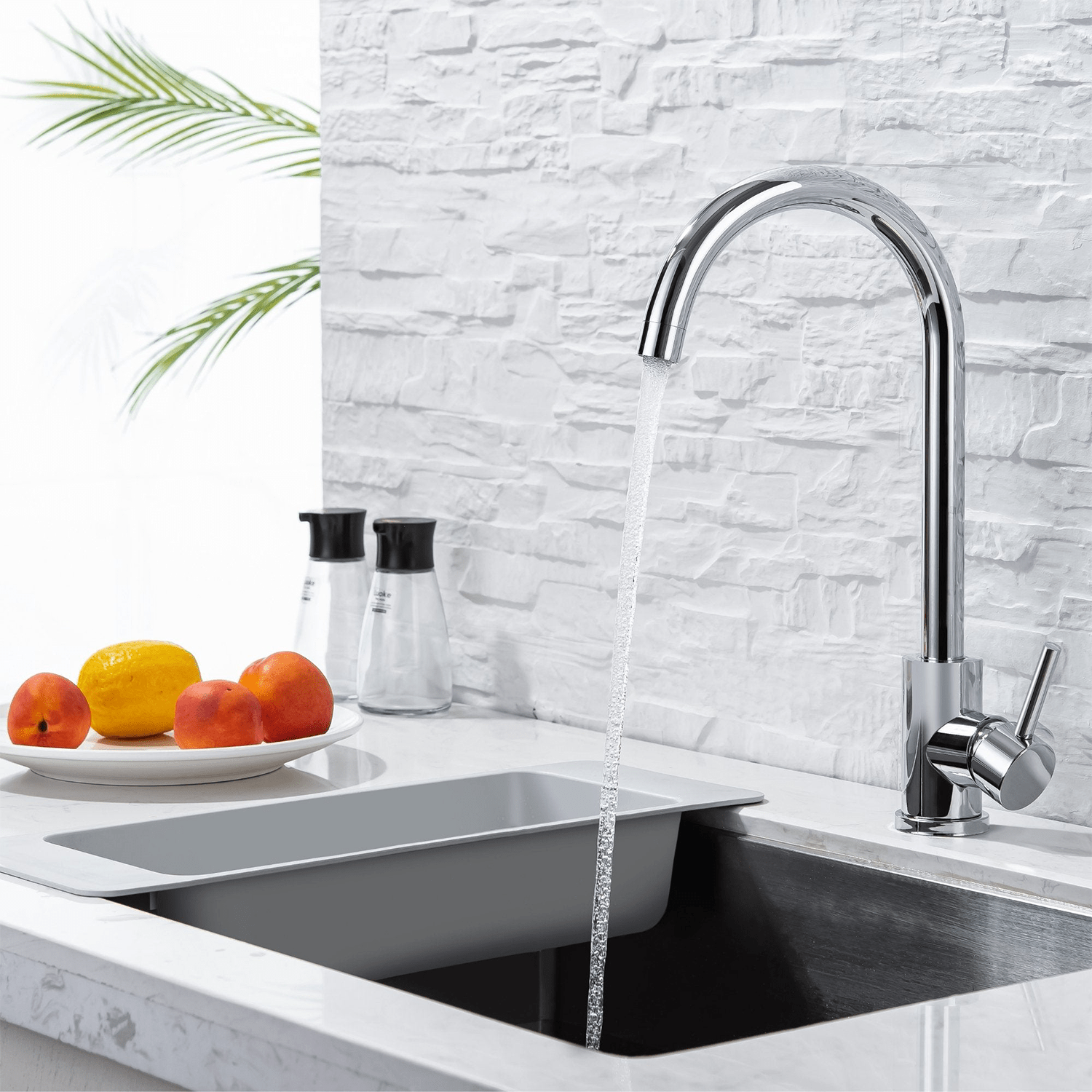 APOLLO - lomazoo.com