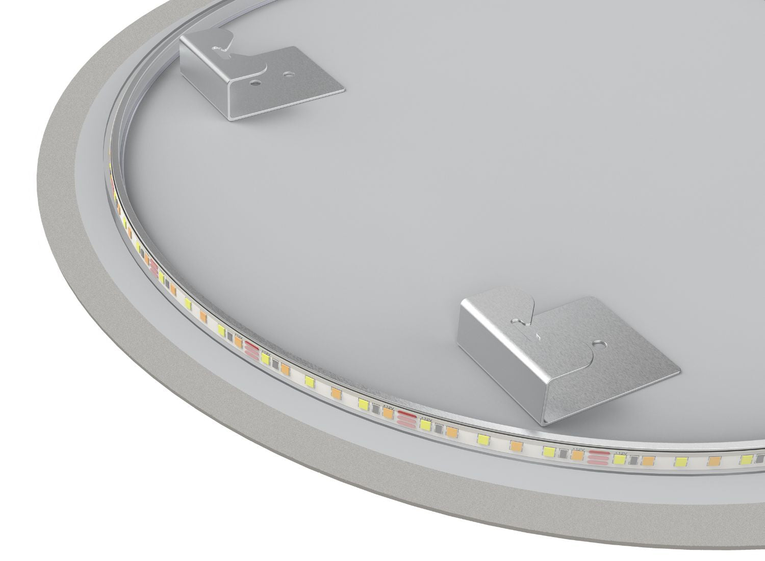 VEGAS - 70 CM (Tweedekans) - lomazoo.com