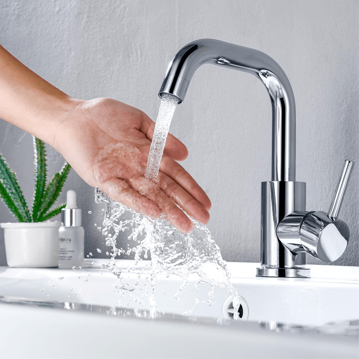 ROSELY - lomazoo.com